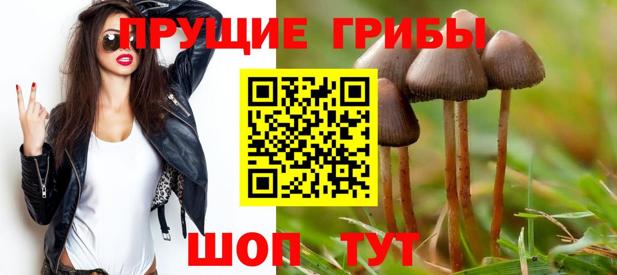 Псилоцибиновые грибы прущие грибы  Вход с VPN  что такое   Сертолово  Галлюциногенные грибы MAGIC MUSHROOMS 